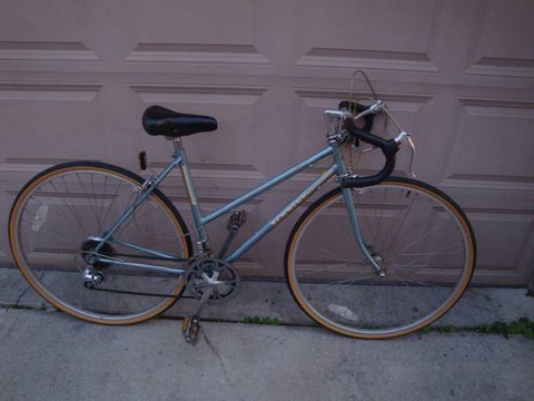 Ladies Schwinn World Sport