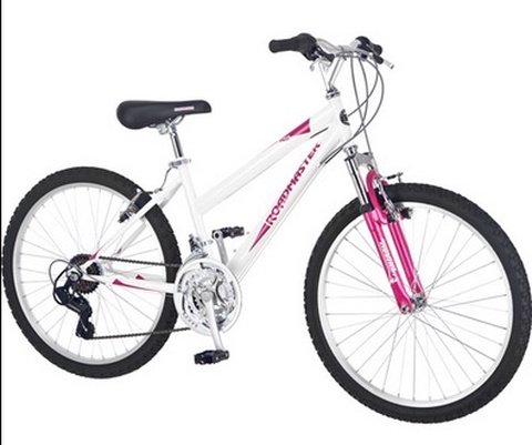 RoadMaster R3013WMA