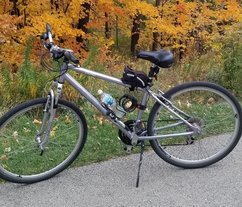 Schwinn Trailway