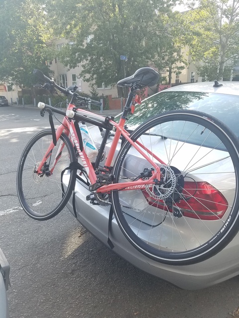 Vita Elite Disc Specialized