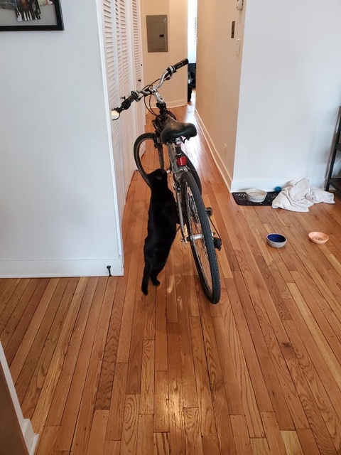 Trek 7100