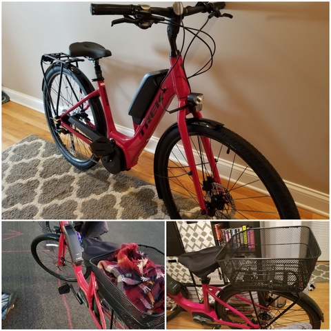 Trek / Verve 2+ Lowstep