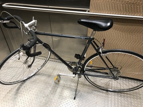 Shogun Tangalov 150