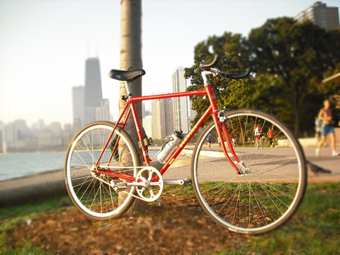 Schwinn Traveler