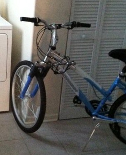 Schwinn