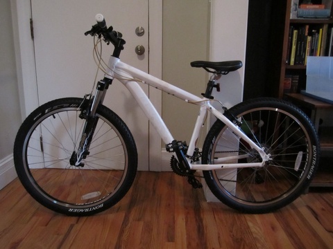 Trek Skye SL