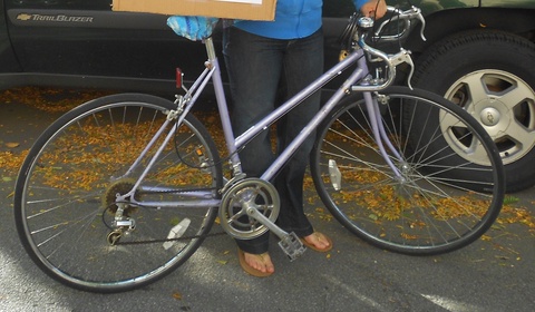 Schwinn Sprint