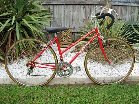 Schwinn Caliente