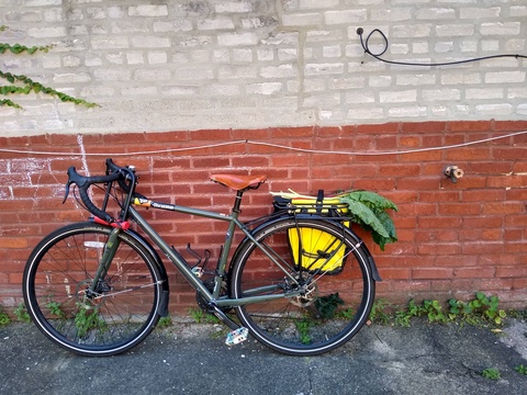 Kona Sutra