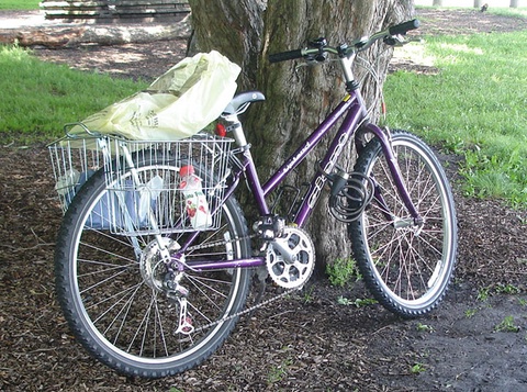 Giant Upland 21-speed
