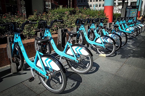 Divvy blue bike