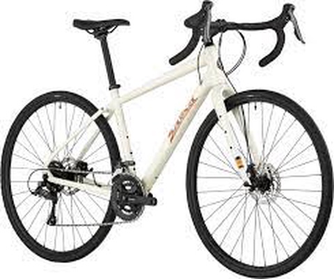 Salsa Journeyer 700 Claris
