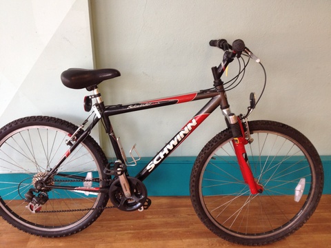 Schwinn Sidewinder