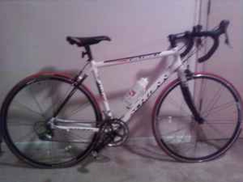 Schwinn Fastback