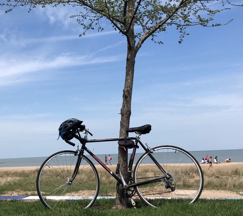 Bianchi Sport SX