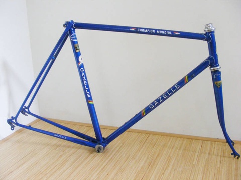 Parts theft: Gazelle Champion mondial