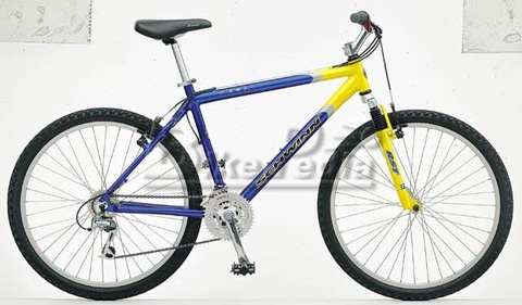 	1999 Schwinn Mesa GS