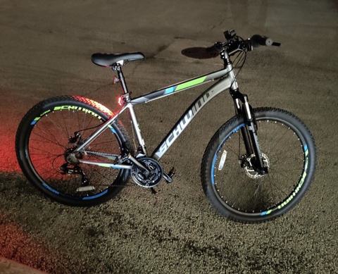 SCHWIN Mountain Bike
