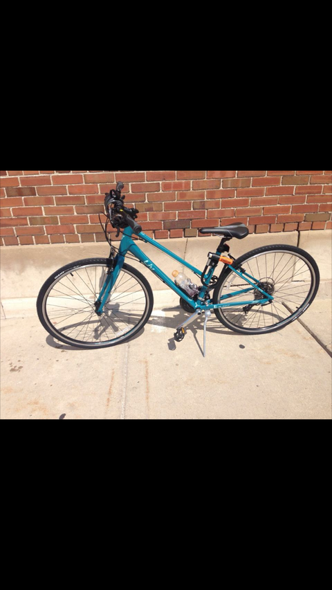 2014 Giant Alight