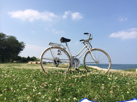 Schwinn Suburban 
