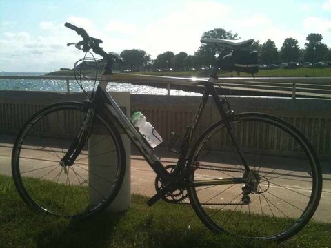 Fuji carbon concept team bike