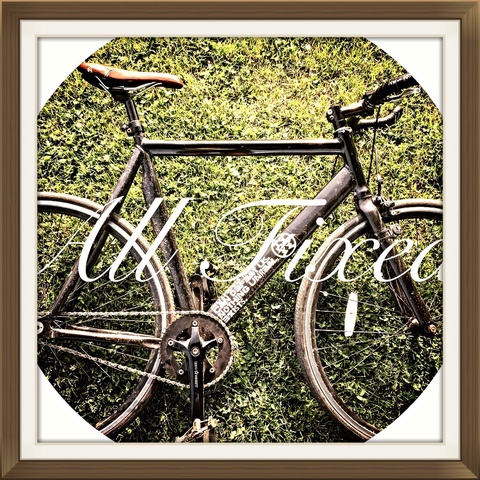 EIGHTINCH aluminum frame (custom bike)