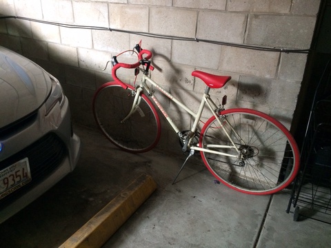 Schwinn Traveler