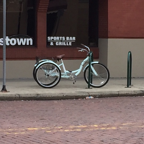 Schwinn Meridian (Three wheeler)