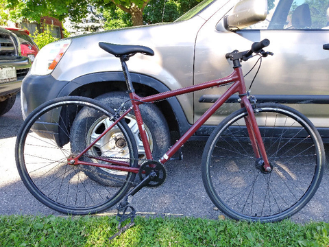 Trek Gritty