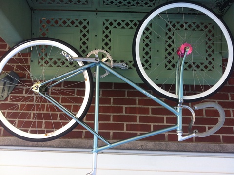 Horse track bike