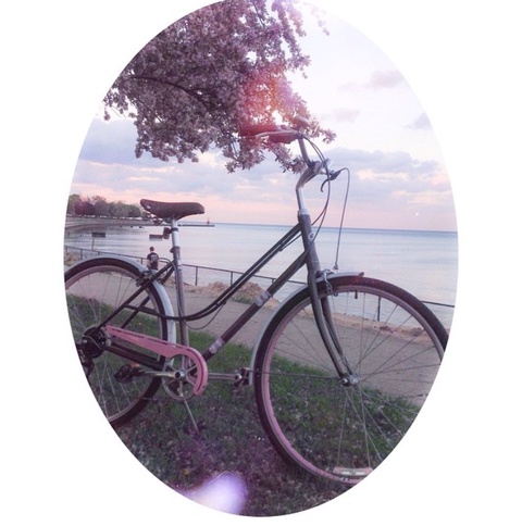 Liv by giant bikes