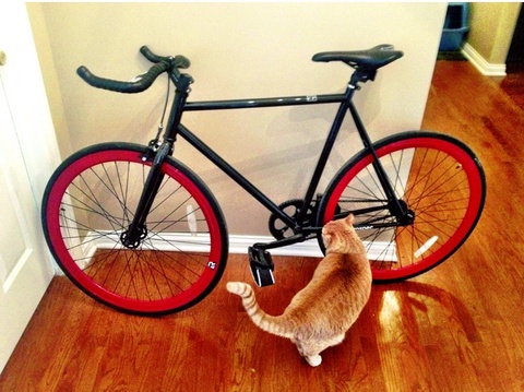 Retrospec Saint Urban Fixie