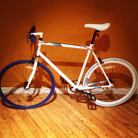 Schwinn Cutter