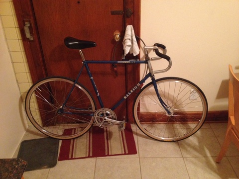 Raleigh sportif 
