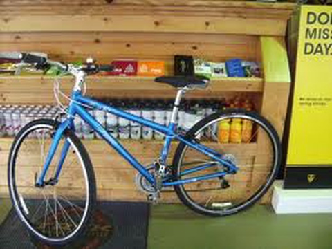 Trek 7.2 FX WSD Hybrid