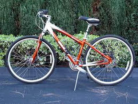 Giant Cypress LX