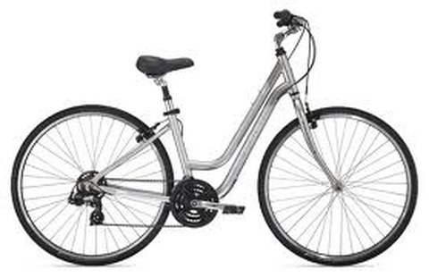 Silver Trek 7000 WSD city bike