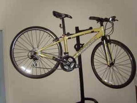 Diamondback Insight
