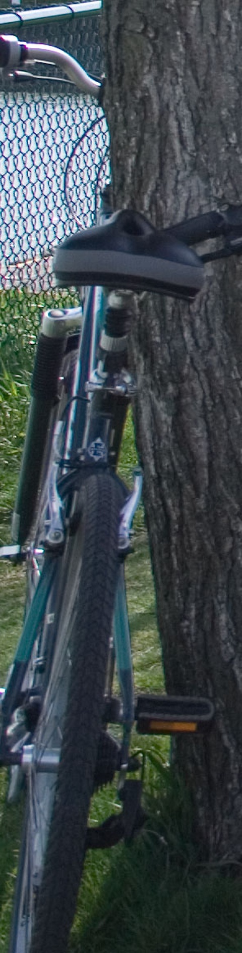 Schwinn 2007 Voyageur GS