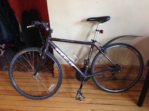 Fuji Absolute 3.0