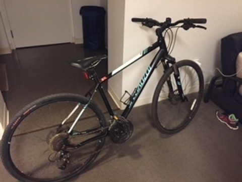 Specialized Ariel