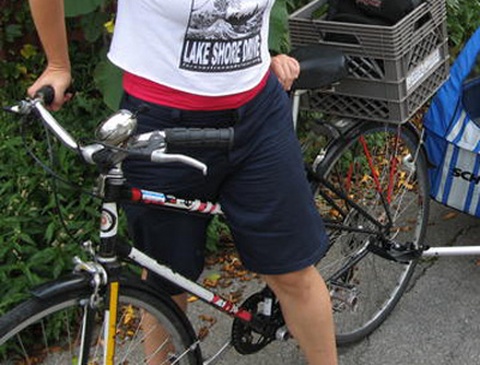 Chicago Schwinn  mixte 