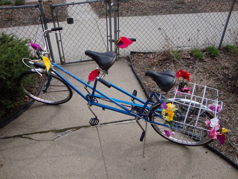 Schwinn Twin Tandem