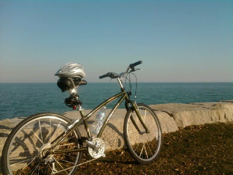 Specialized Globe