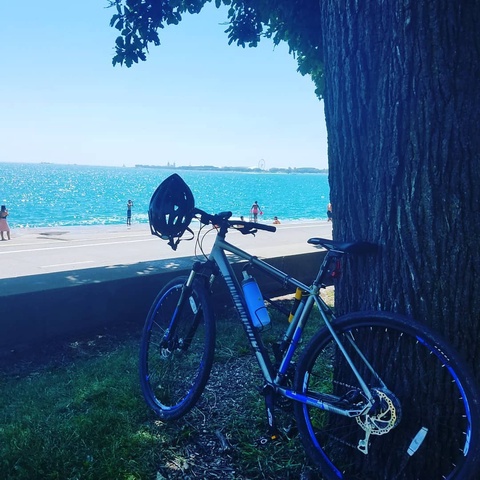 Diamondback Trace Sport