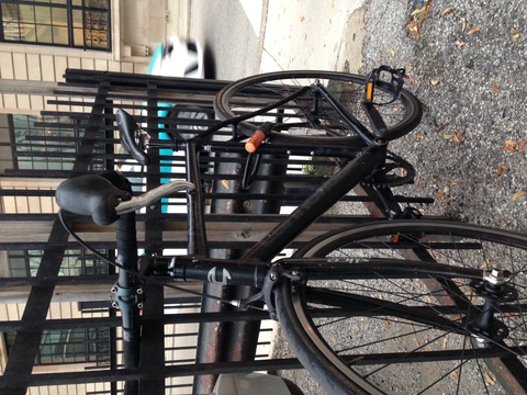 Cannondale Capo