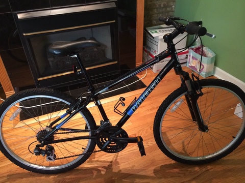 Raleigh Mojave 2.0