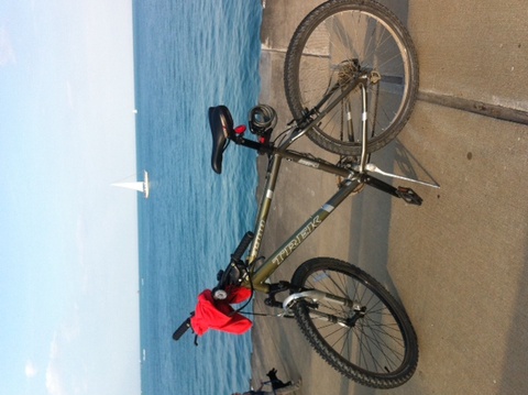 Trek 3900