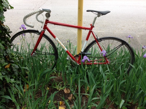2012 VIVA PISTA