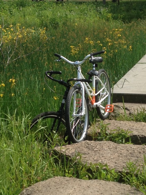 Surly Steamroller